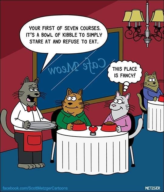 scott-metzger-cartoon-about-a-fancy-cat-restaurant