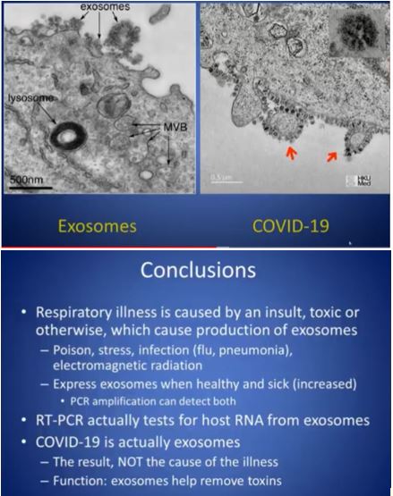 exosomes.jpg