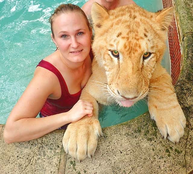 china-york-female-animal-trainer-myrtle-beach-safari.jpg
