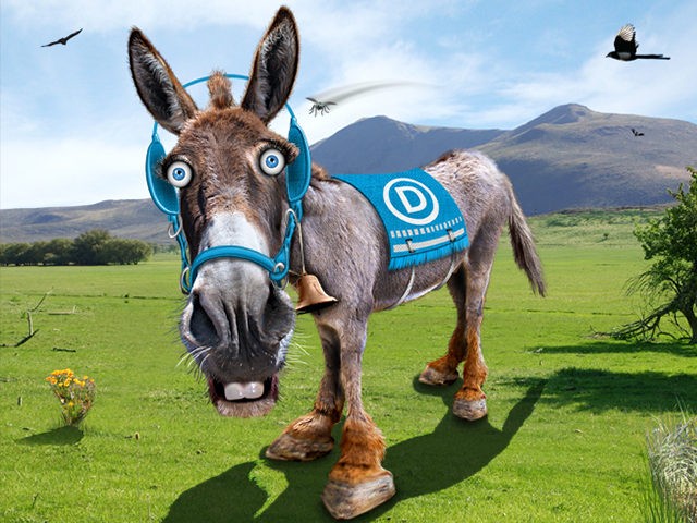 Democrats-Donkey-Flickr-640x480.jpg