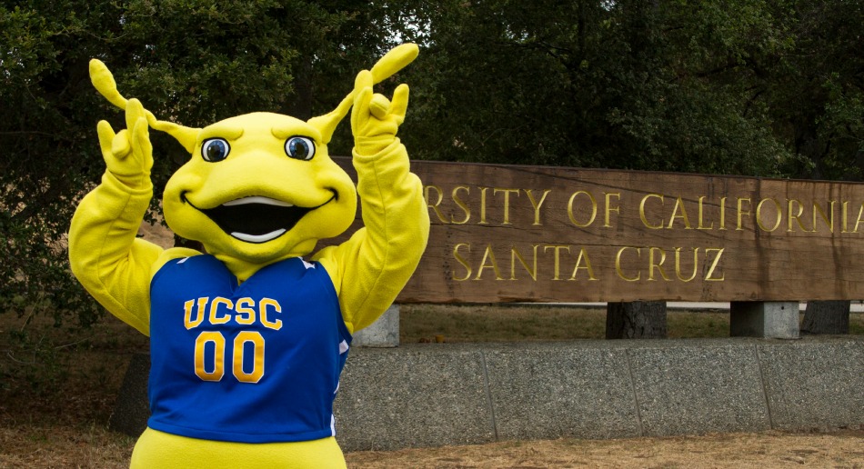 ucsc.soccer.jpg