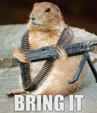 militarized+groundhog.jpg