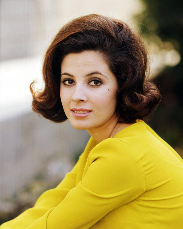 1-barbara-parkins-in-peyton-place-silver-screen.jpg