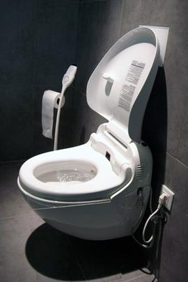 JapaneseToiletToto.jpg