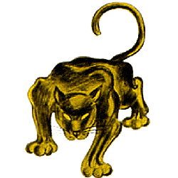 pittsburgh_panthers_1955-1965.png