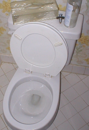 Toilet_370x580.jpg