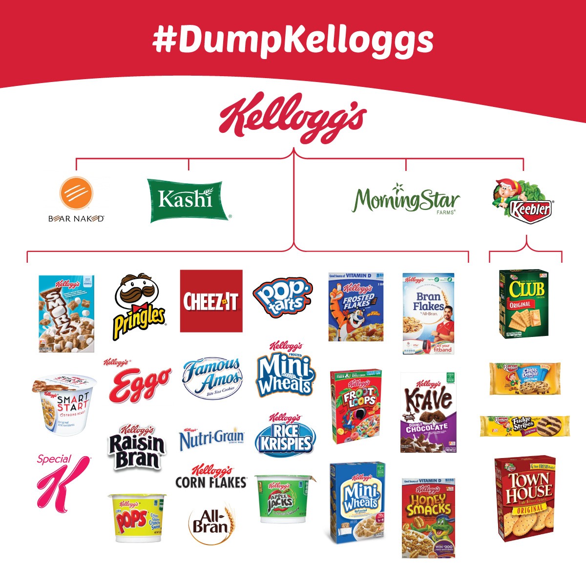 bb-dumpkellogs-meme-infographic-1200x1200-1.jpg