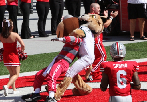 rufus-attacking-brutus-buckeye.jpg