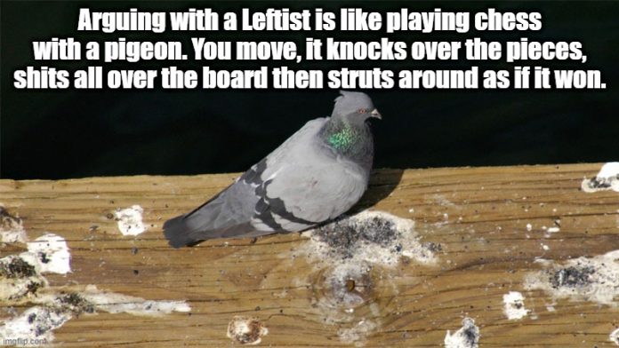 Leftist-pigeon--696x392.jpeg