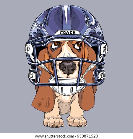 stock-vector-puppy-basset-hound-in-a-blue-handegg-helmet-vector-illustration-630871520.jpg