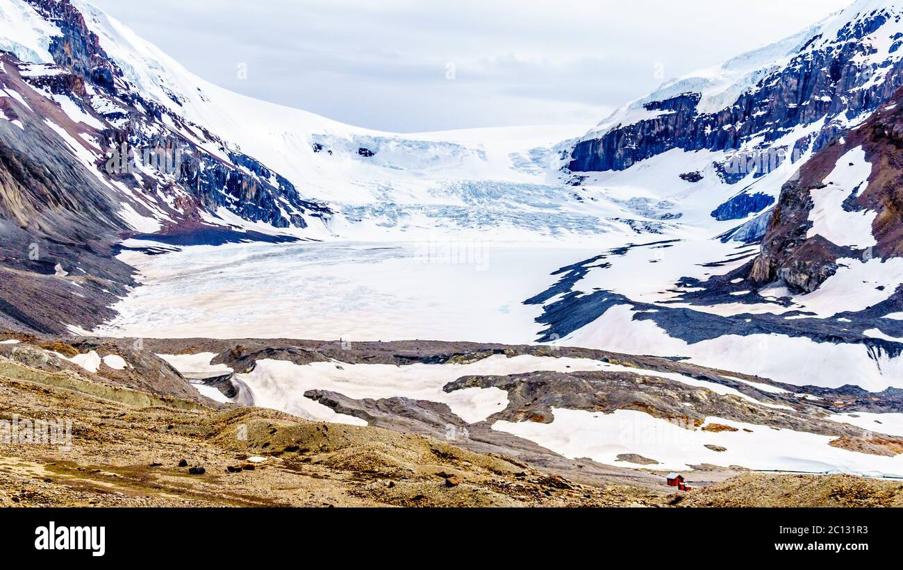 the-athabasca-glacier-in-the-columbia-icefields-in-jasper-national-park-alberta-canada-at-spring-time-2C131R3.jpg