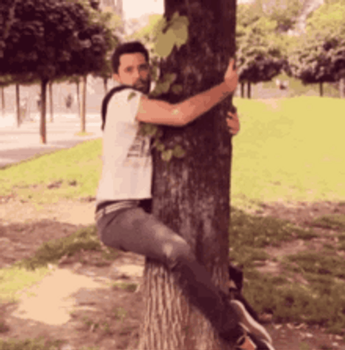 man-hug-slowly-falling-from-tree-meme-katjnzkxo1bzvk85.gif