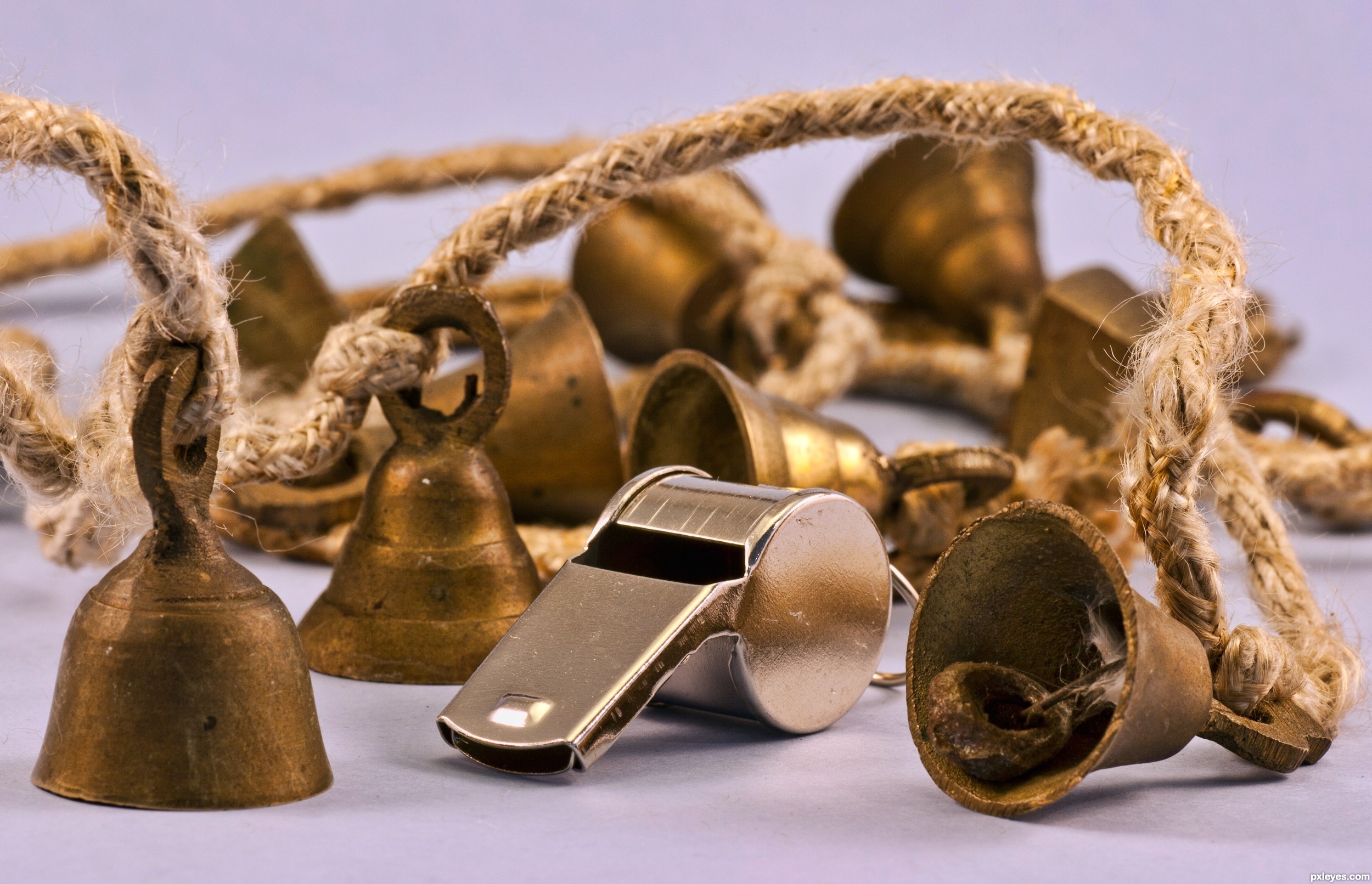 bells%20whistles_28817_hires.jpg