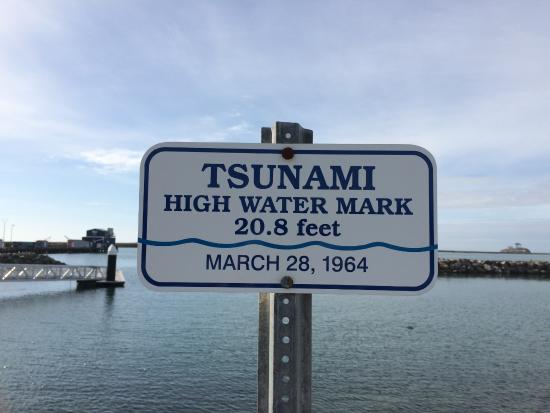 1964-tsunami-high-water.jpg