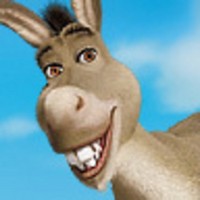 donkey.jpg