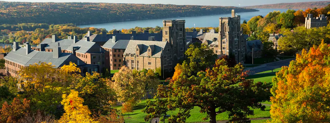 cornell-campus-1125x420.png