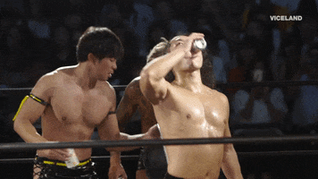 beer drink up GIF by THE WRESTLERS