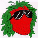 strawberryjamband.org