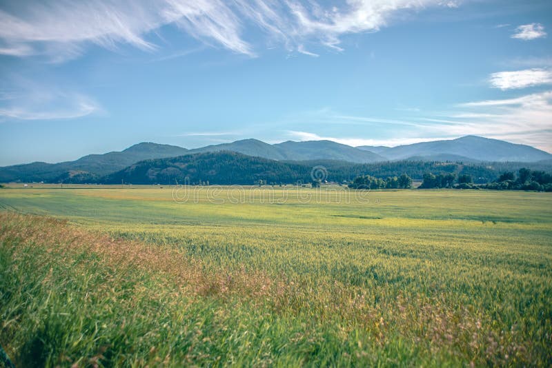 wide-open-vast-montana-landscape-summer-143171026.jpg