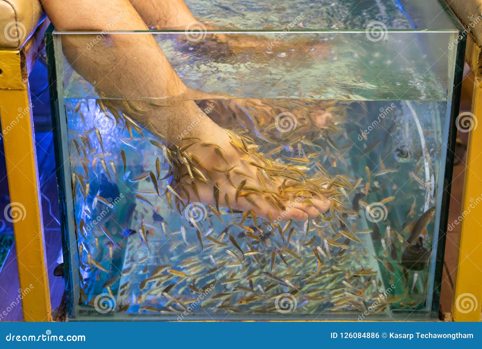 foot-spa-doctor-fish-freshwater-used-treating-skin-diseases-eating-dead-off-feet-man-pedicure-massage-bangkok-126084886.jpg