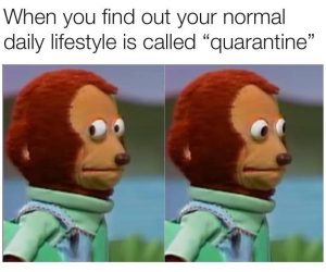 when-you-find-out-your-nomal-daily-lifestyle-is-called-quarantine-meme-300x250.jpg